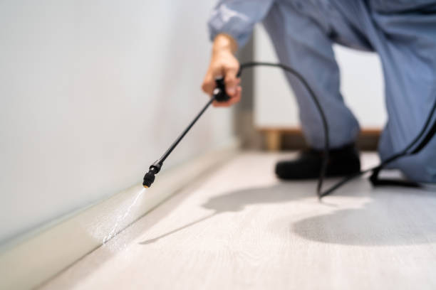 Licensed Termite Control service in Buckeystown, MD - Nex Pest Control