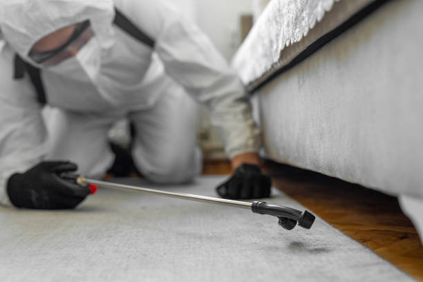 Professional Termite Control technician working in Buckeystown, MD