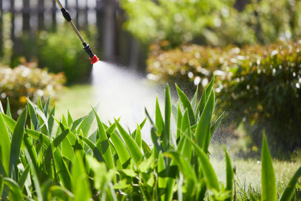 24/7 Emergency Termite Control experts in Buckeystown, MD