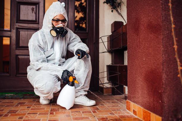 Reliable Termite Control contractor in Buckeystown, MD by Nex Pest Control
