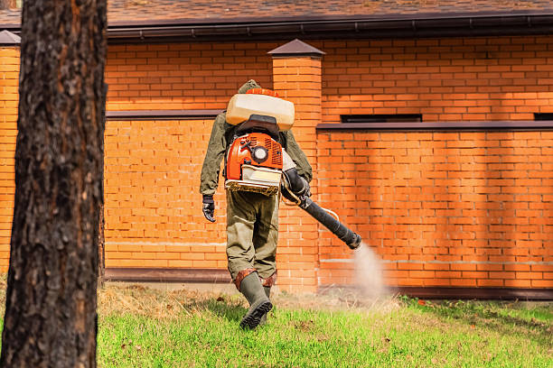 Trusted Bed Bug Control service in Buckeystown, MD - Nex Pest Control